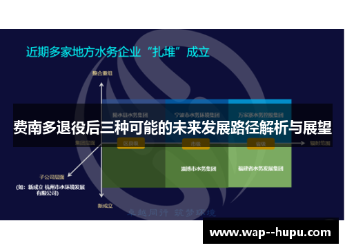 费南多退役后三种可能的未来发展路径解析与展望