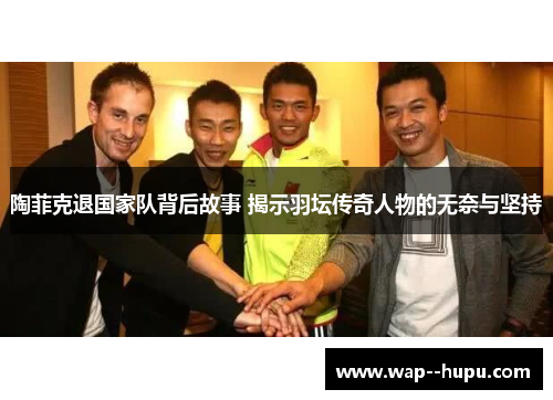 陶菲克退国家队背后故事 揭示羽坛传奇人物的无奈与坚持