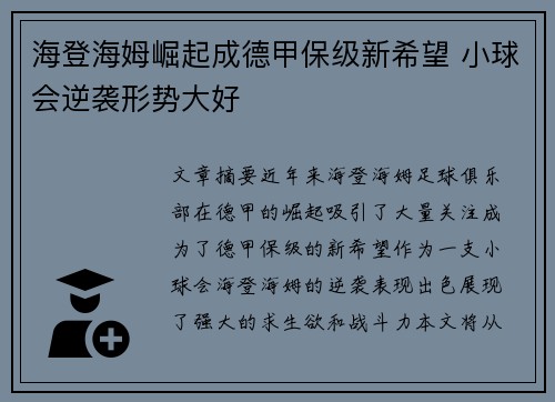海登海姆崛起成德甲保级新希望 小球会逆袭形势大好